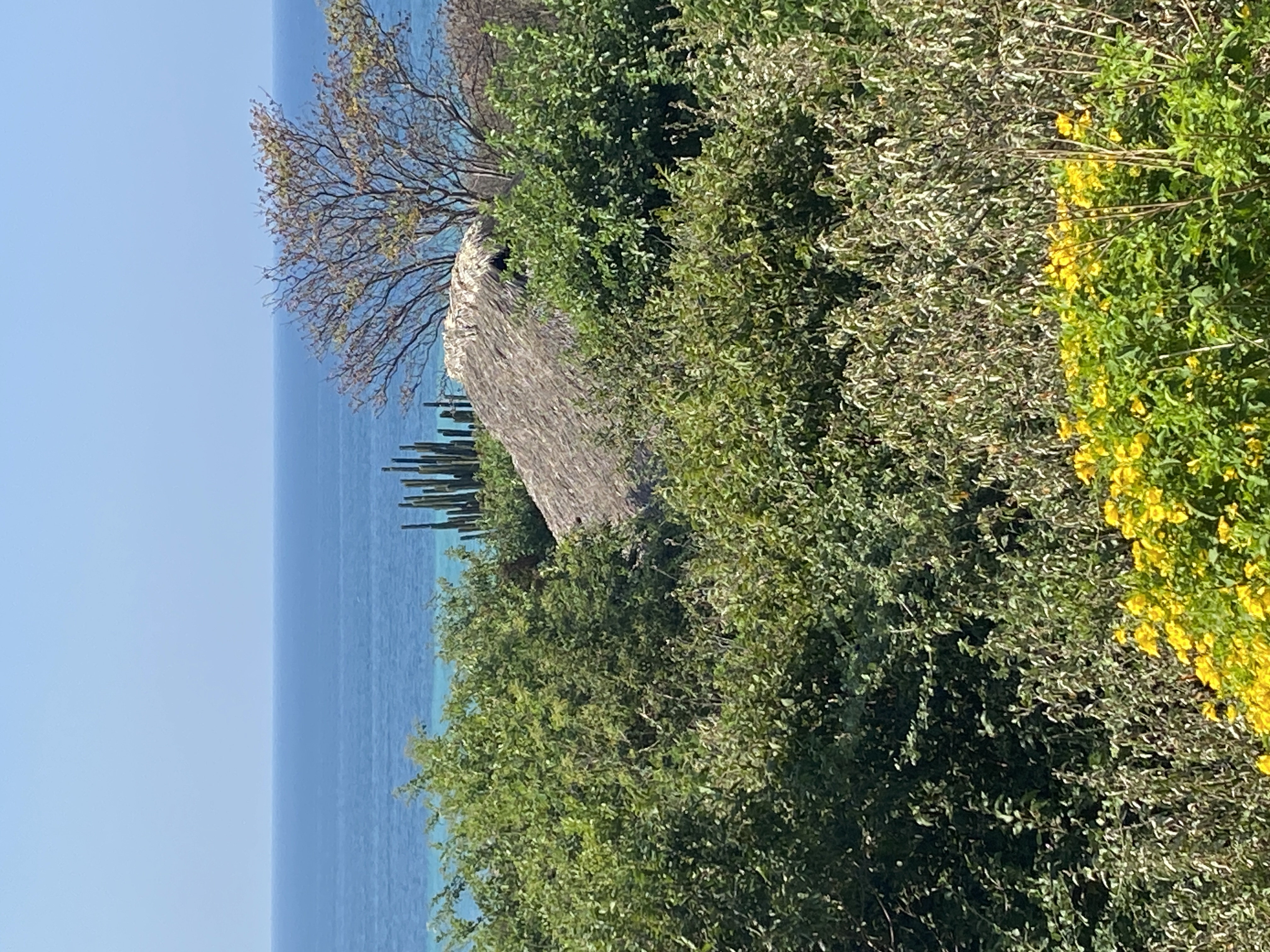 Vista del mar desde la casa